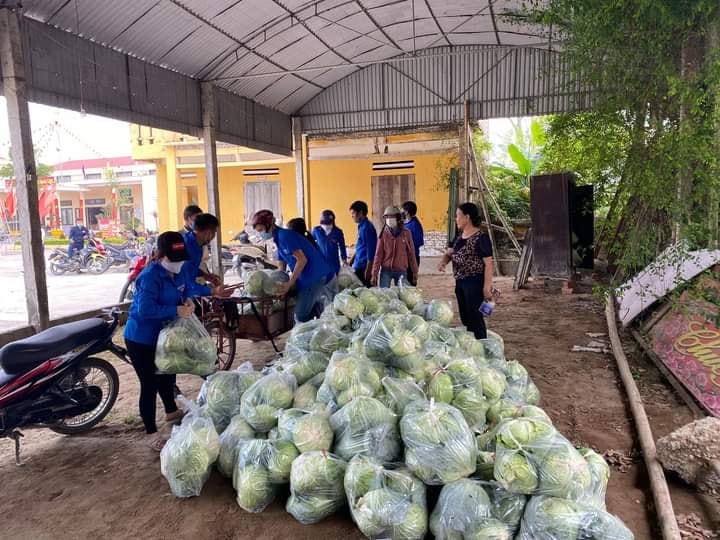 Hải Phòng: Trong 1 ngày, thần tốc 'giải cứu' 60 tấn bắp cải 