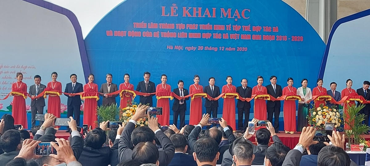Cắt băng khai mạc Triển lãm.