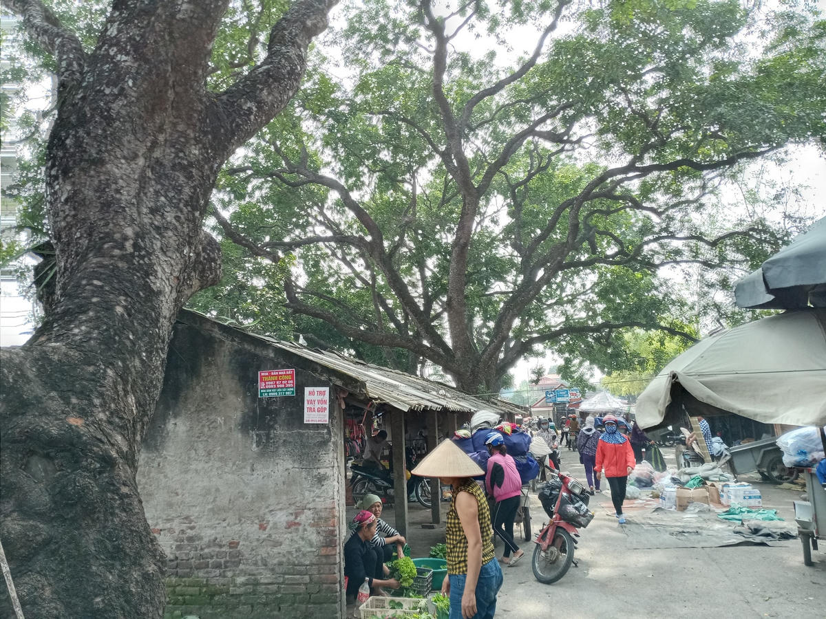 Một góc chợ Đại.