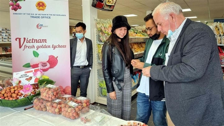 Vải thiều được đóng gói đẹp mắt, thu hút người tiêu dùng và phục vụ nhu cầu “xuất ngoại”.  