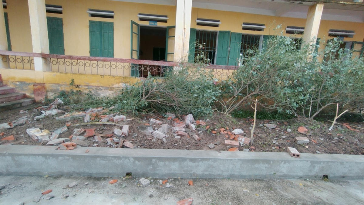 Những khóm hoa hồng trong khuôn viên trường bị đánh đổ.