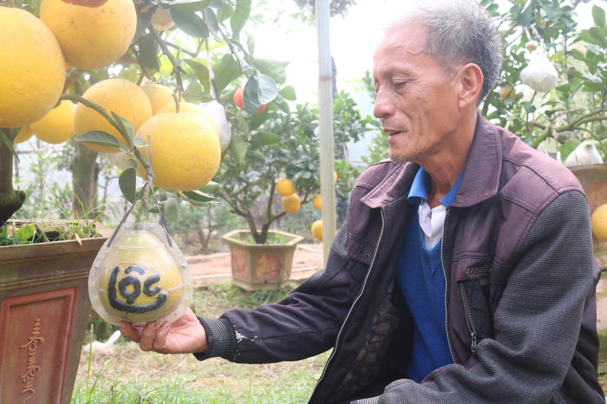 Những ngày cuối năm, công việc của ông Giáp lại càng bận rộn.