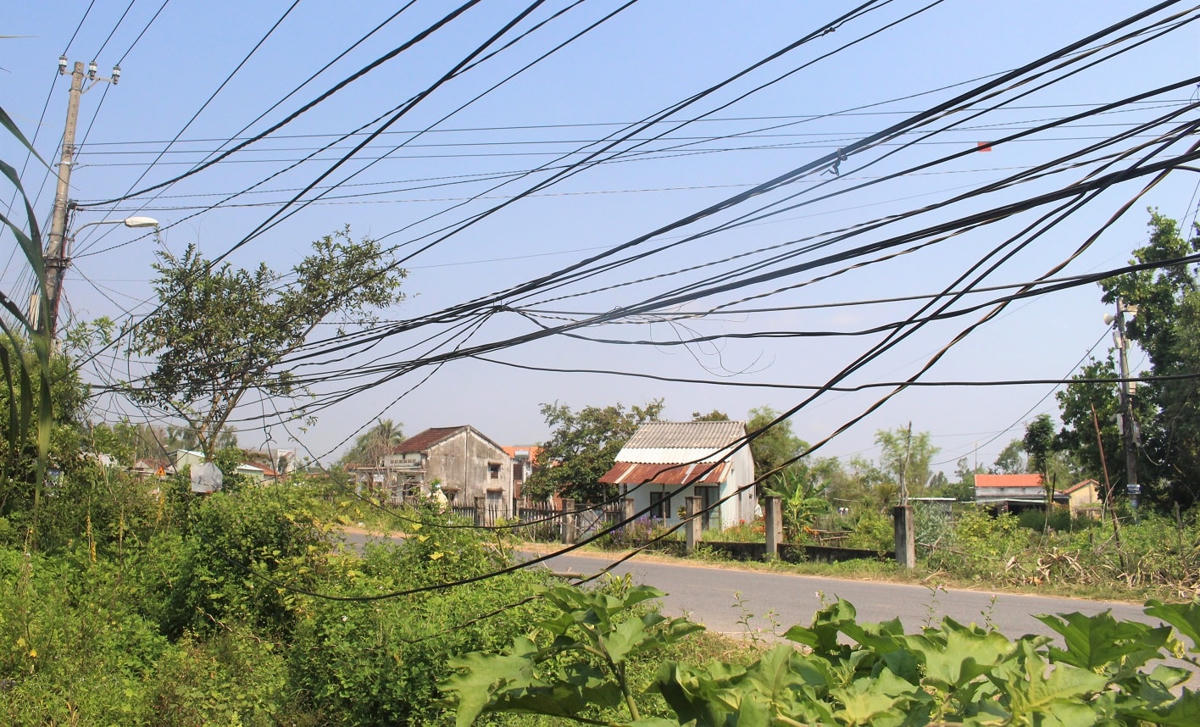 Nhiều dây điện sà xuống giống sát đất ở thôn Phú Qúy.