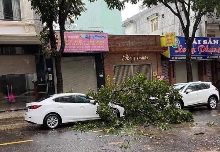 Cây cối gãy đổ ngổn ngang tại TP Pleiku (Gia Lai).