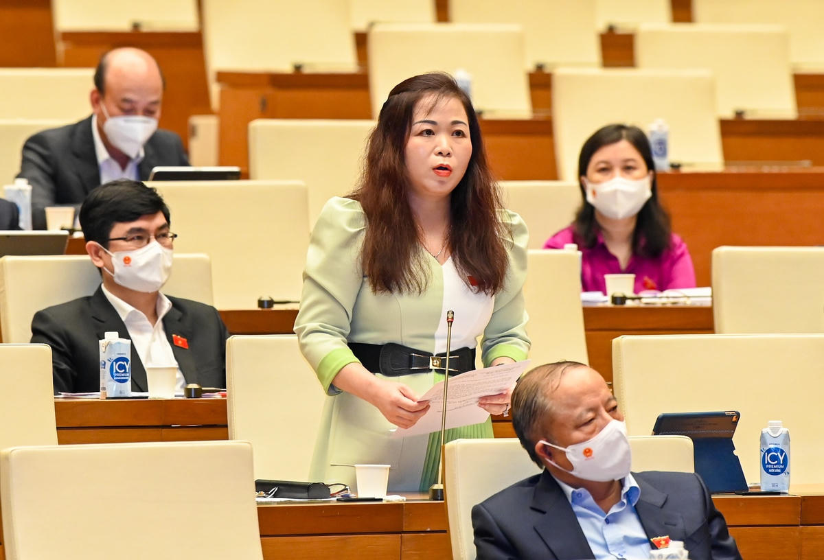 “Nghiên cứu giảm thuế để giúp giảm giá xăng dầu là hợp lý, giảm bớt áp lực giá cho người tiêu dùng. Nhưng nếu chỉ giảm thuế bảo vệ môi trường xăng, dầu là chưa thực sự hợp lý?”, Đại biểu Vũ Thị Lưu Mai (đoàn Hà Nội).Ảnh: Quang Vinh.