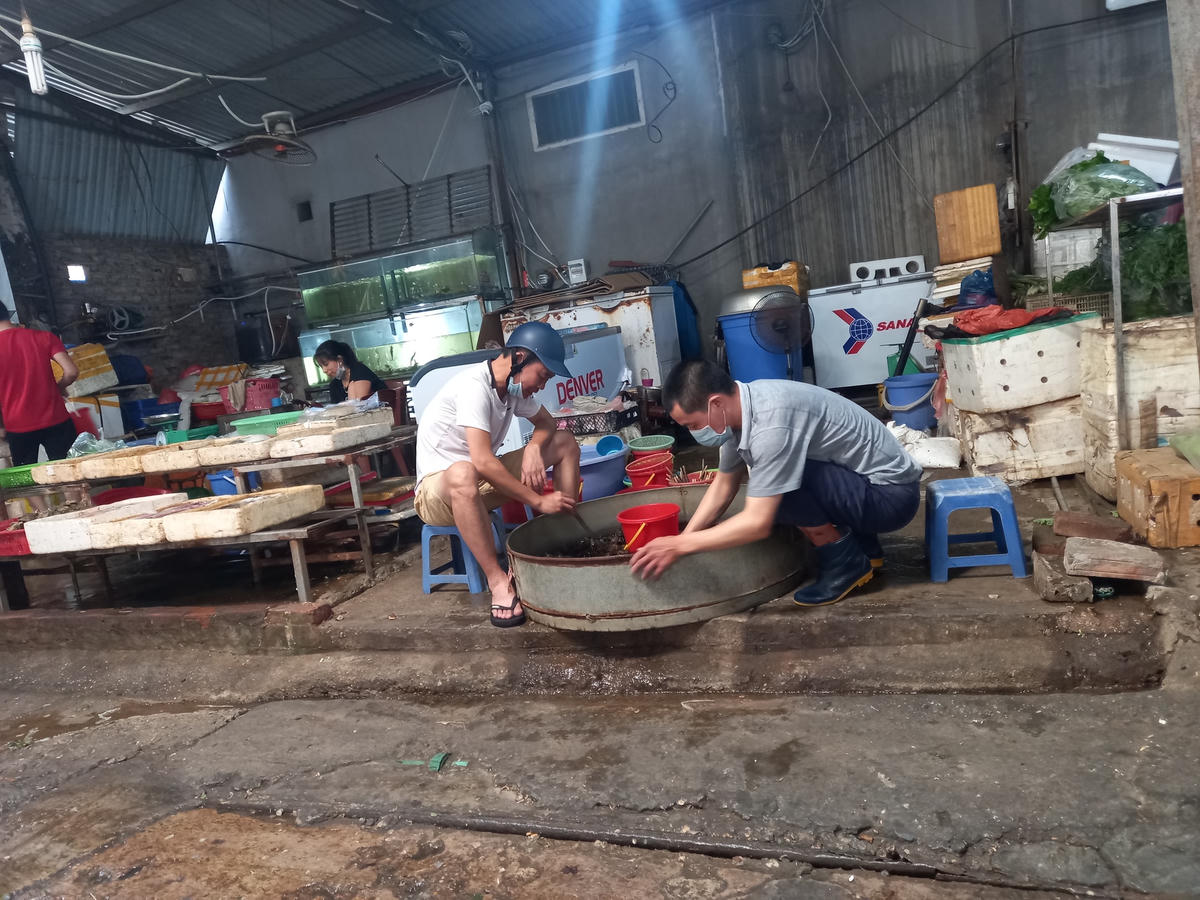 Tại một số chợ dân sinh hoạt động sản xuất, trao đổi và luân chuyển hàng hóa vẫn diễn ra bình thường. Điển tại chợ Mỹ Đình (quận Nam Từ Liêm), chợ Nghĩa Tân (quận Cầu Giấy), chợ Cống Vị (quận Ba Đình)… Tình trạng kẻ mua, người bán đeo khẩu trang theo kiểu đối phó vẫn diễn ra.