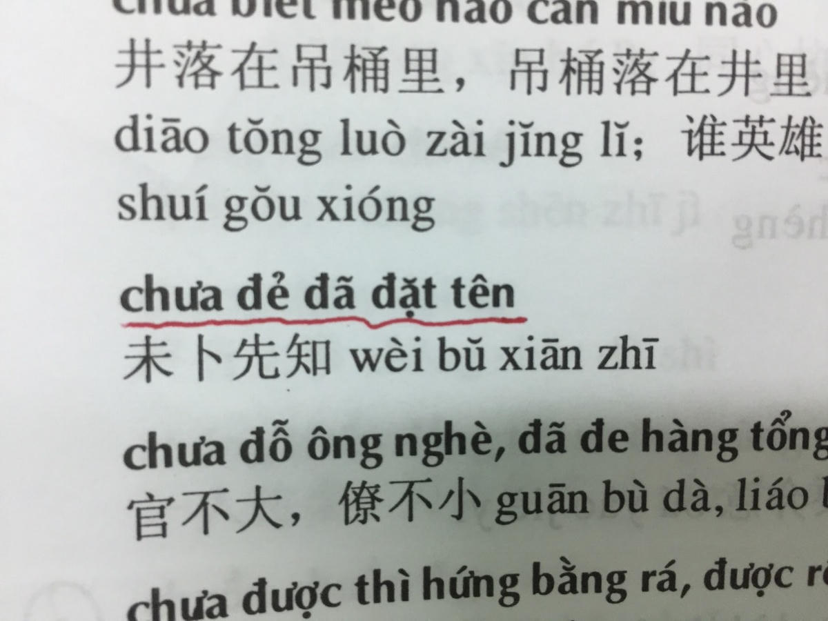 ‘Từ điển thành ngữ - tục ngữ Việt Hán’ nhiều sai sót