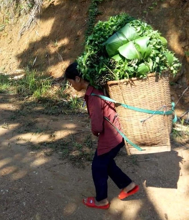 Người dân cõng rau về trung tâm huyện để ủng hộ vùng tâm dịch. Ảnh: Nguyễn Trần Vỹ.
