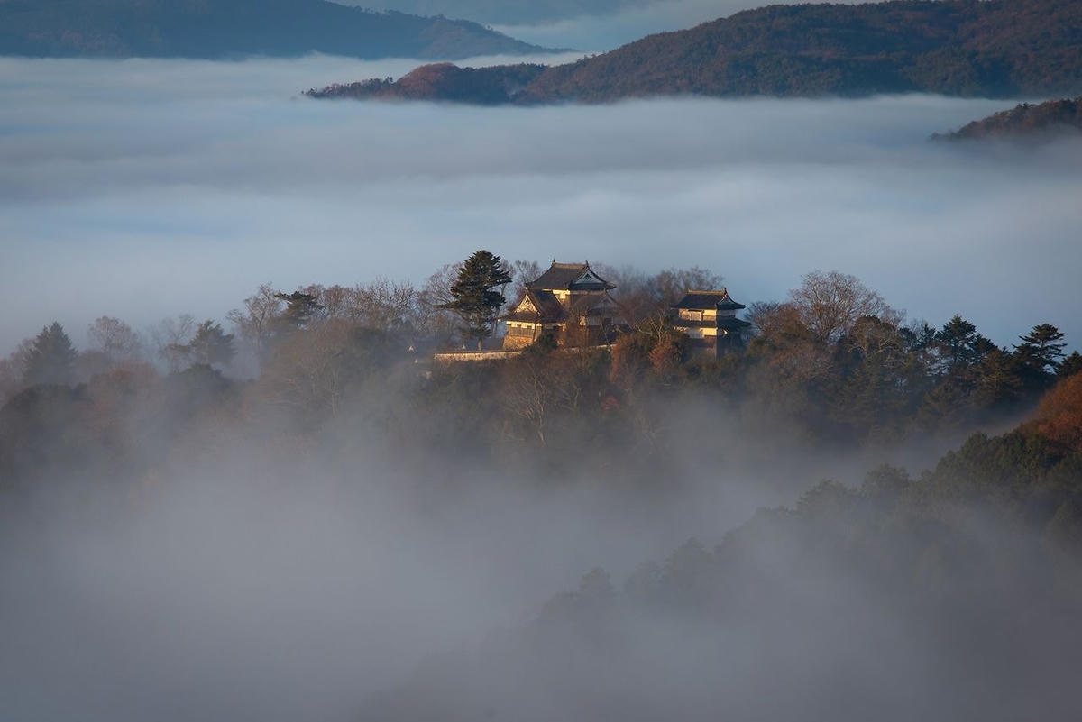 Lâu đài Bitchu Matsuyama. Ảnh: Nippon.  