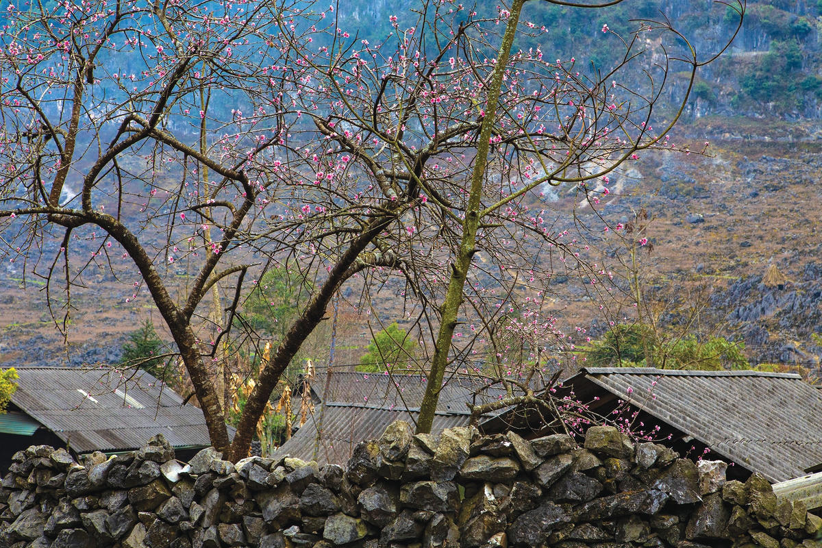 Hồn của đá