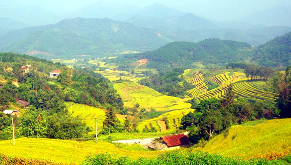 Ruộng bậc thang tại xã Lục Hồn. Ảnh: Tạ Quân.