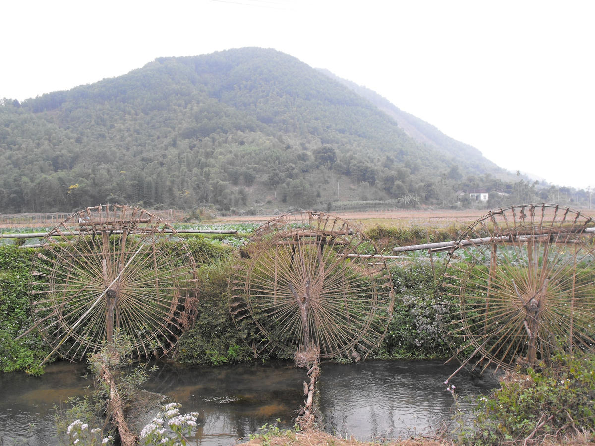 Mường Muổi và tôi