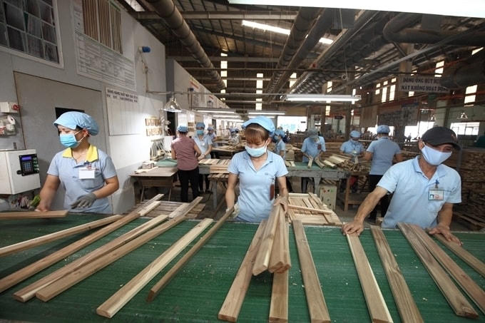 Các doanh nghiệp xuất khẩu gỗ đau đầu với bài toán nguyên liệu.
