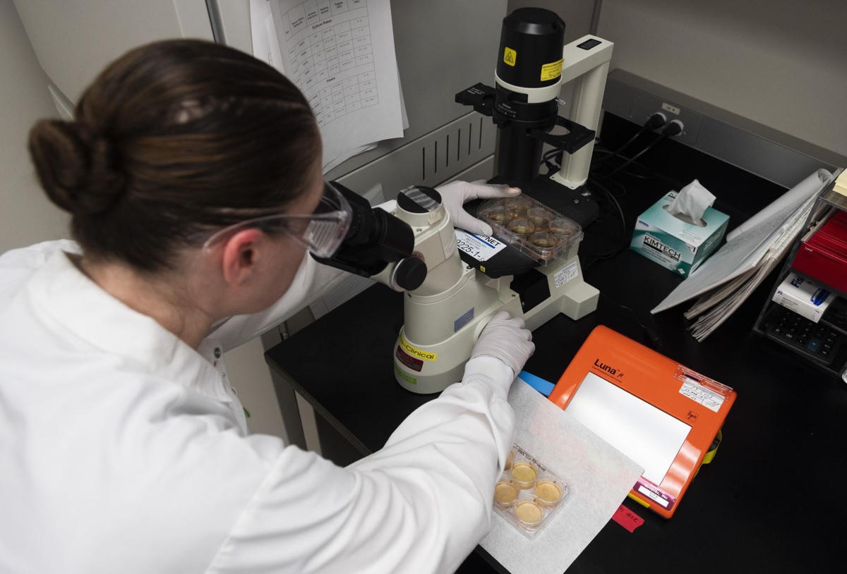 Nghiên cứu vaccine phòng Covid-19 trong phòng thí nghiệm ở Gaithersburg, Maryland, Mỹ Ảnh: AFP