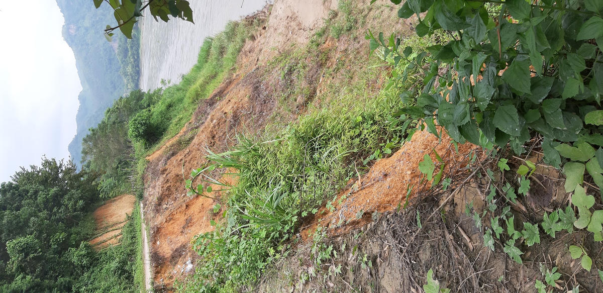 Bờ sông thôn Văn Lập bị sạt lở do khai thác cát sỏi đã ăn sâu vào đường giao thông.