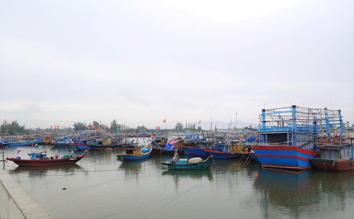Tàu thuyền Quảng Nam vào bờ trú tránh ATNĐ.