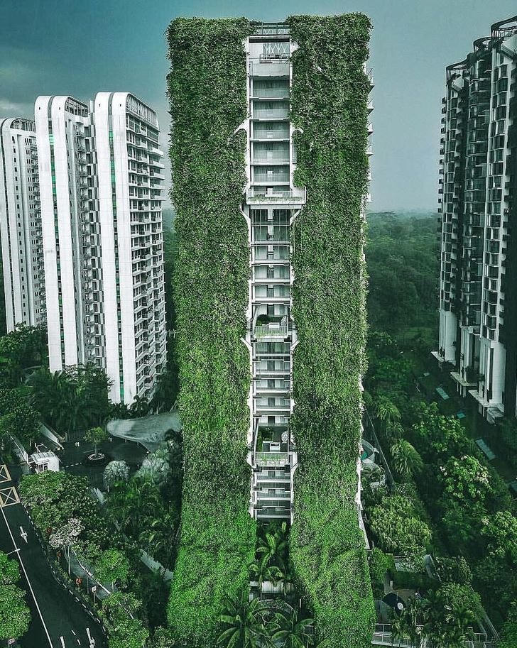 Luôn có chỗ cho một khu vườn - những bức tường của một tòa nhà có thể khá hữu ích (Singapore).