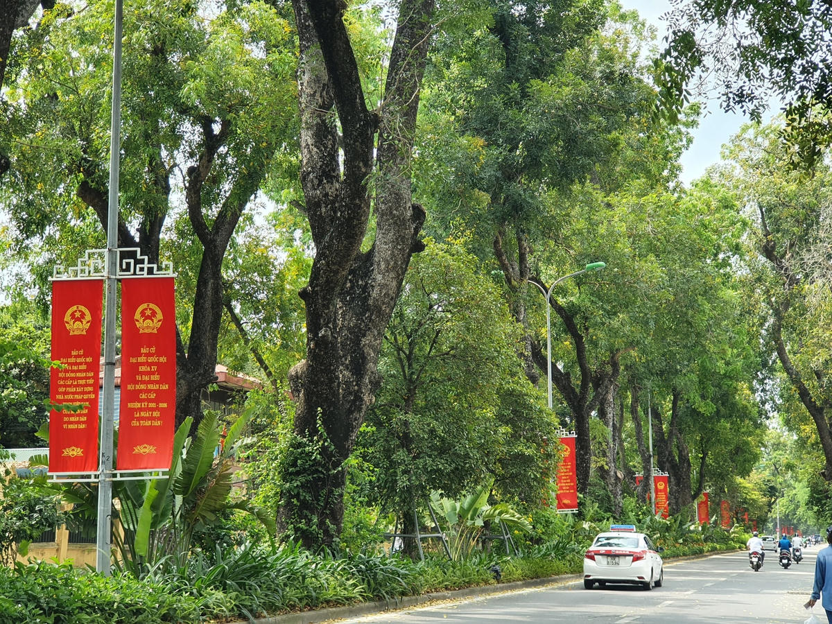 Đường Hoàng Diệu cũng được trang hoàng nhiều khẩu ngữ vận động người dân tham gia bầu cử.