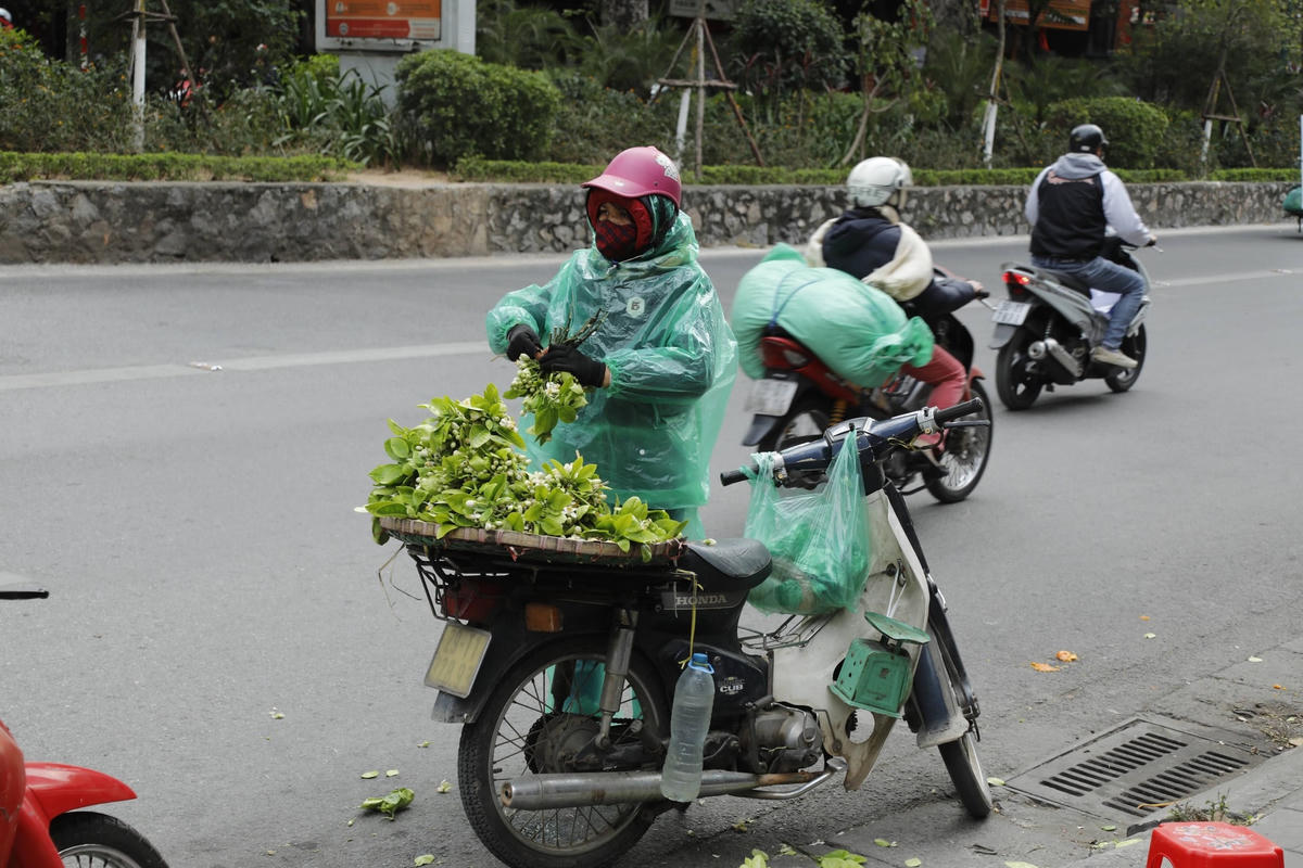 Miền Bắc đang trải qua một đợt lạnh sâu. Ảnh: Quang Vinh