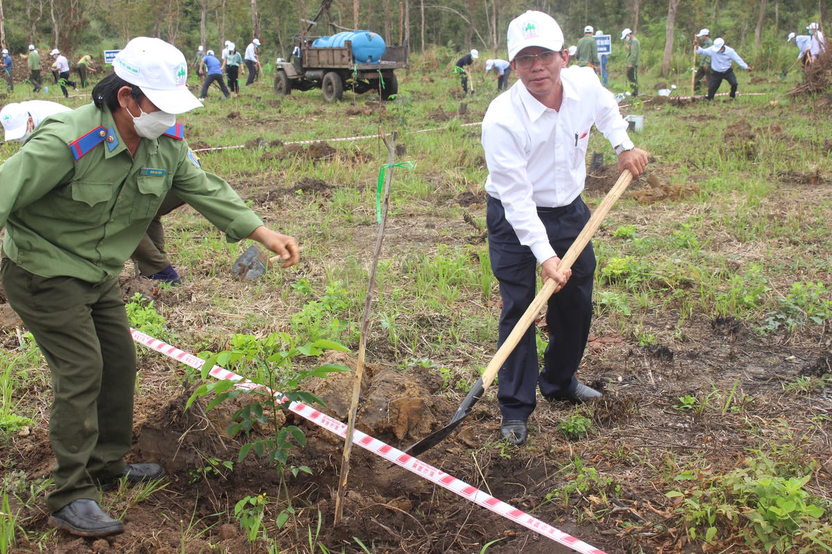 Ông Trần Ngọc Thanh, Chủ tịch Mặt trận tỉnh Khánh Hòa đang trồng cây sau lễ phát động.