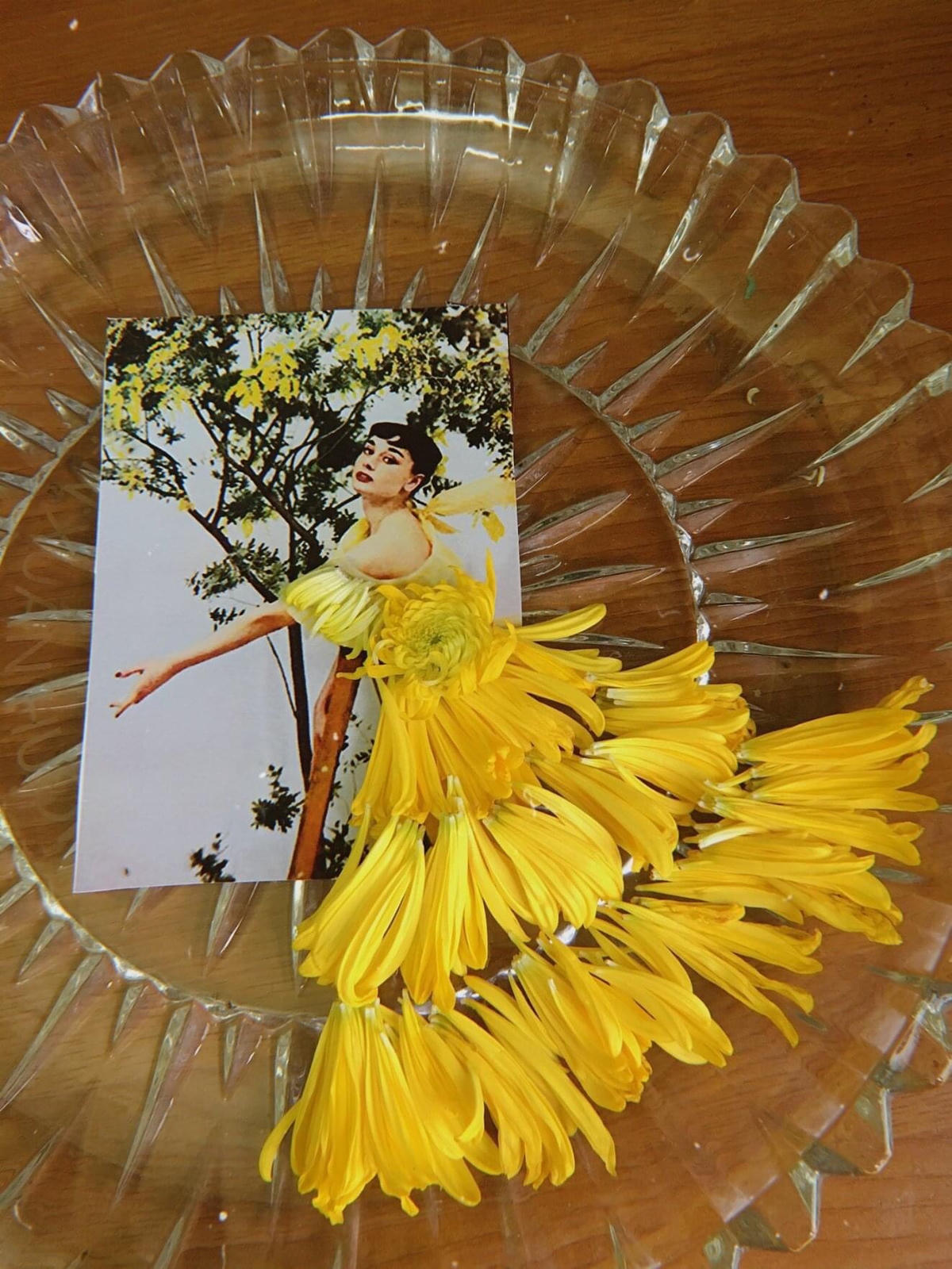 Thiết kế váy cho nàng thơ Audrey Hepburn từ hoa cúc. Ảnh: NVCC. 