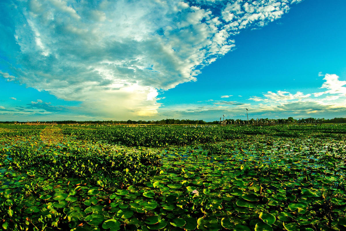 Đất trời sông Đầm.