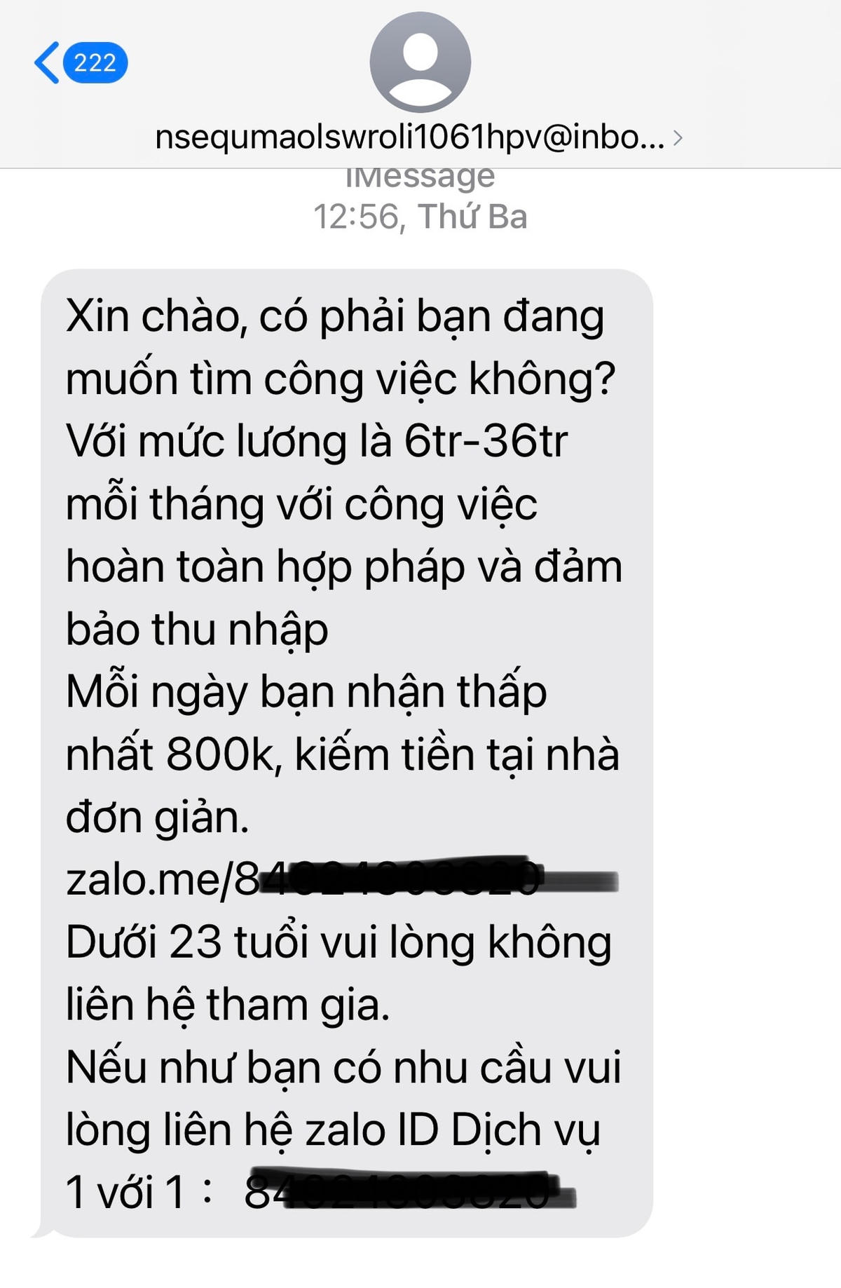 Tin nhắn mời tuyển dụng, tham gia làm việc tại nhà với đãi ngộ "việc nhẹ, lương cao" liên tục gửi tới người dân thời gian qua.