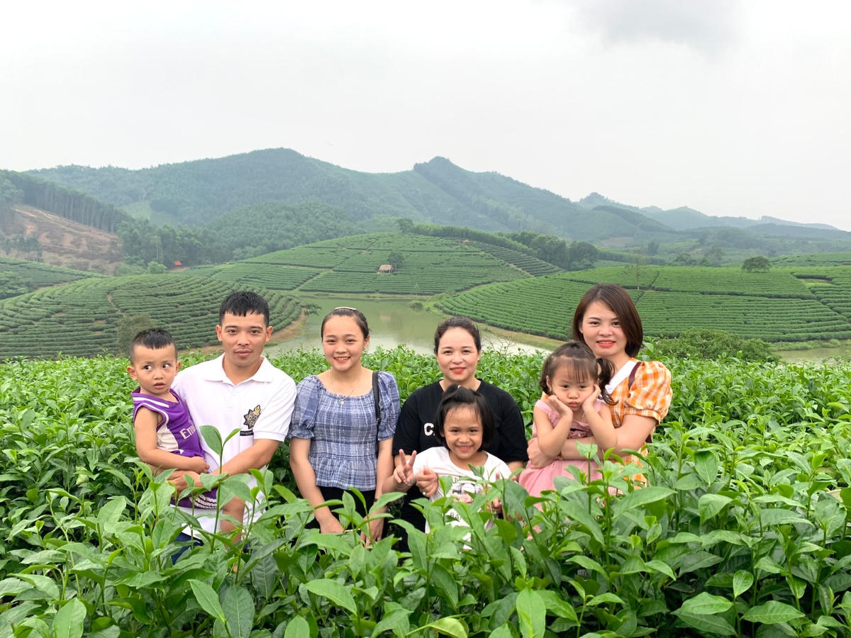 Khu vực đảo chè huyện Thanh Chương mỗi năm thu hút từ 40.000-50.000 lượt khách.