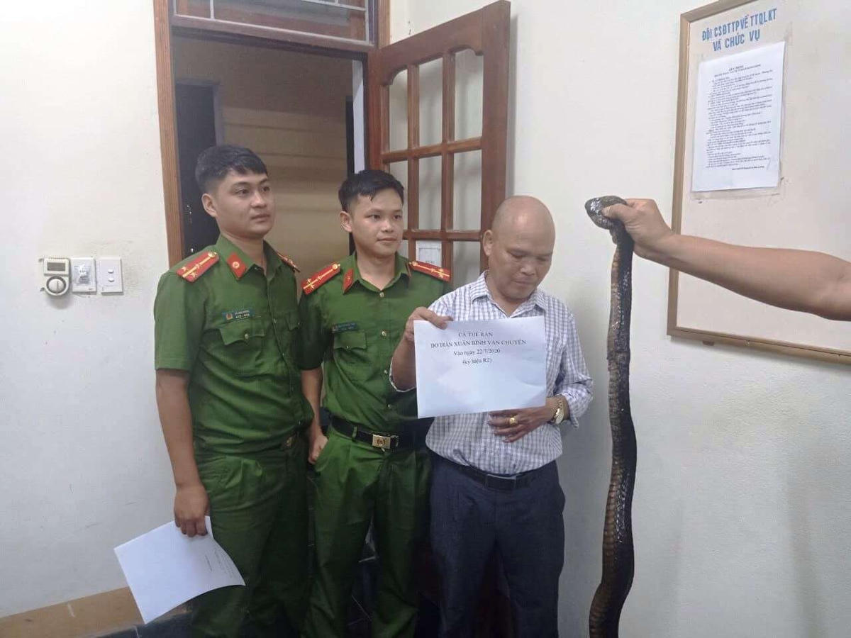 Lê Xuân Bình không xuất trình được hồ sơ, giấy tờ liên quan về 2 cá thể rắn hổ mang chúa.