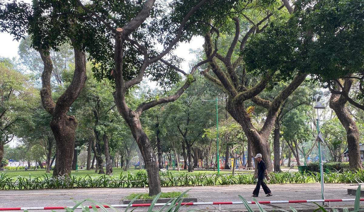 Khu vực công viên Tao Đàn, quận 1 cũng được quy hoạch làm bãi đậu xe nhưng hàng chục năm vẫn nằm trên giấy.