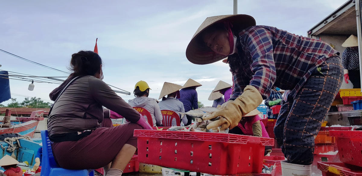 Hàng nghìn lao động mưu sinh tại cảng Hới trông chờ dự án nạo vét sớm được triển khai.