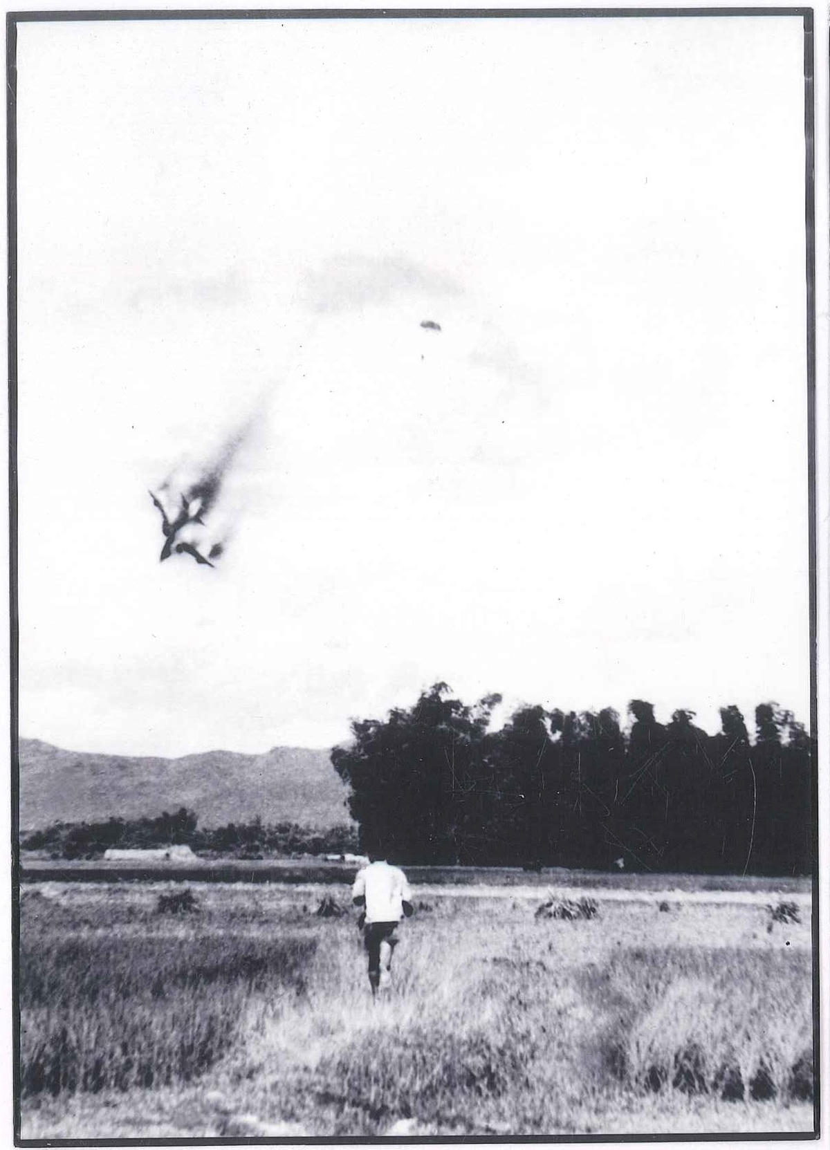 Không cho chúng nó thoát.