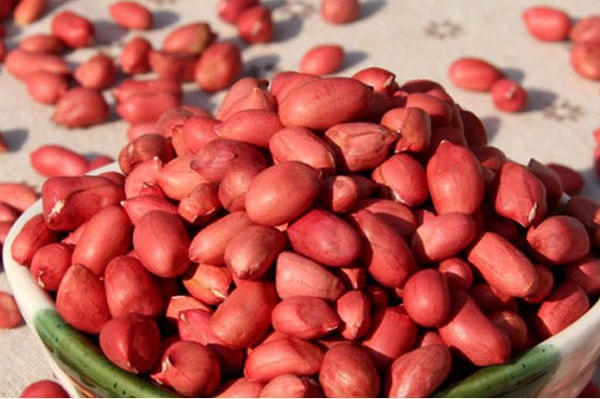 Đậu phộng - món ăn giàu dinh dưỡng, vị thuốc quý