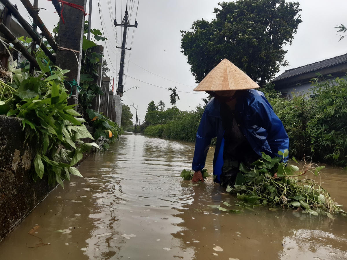 Bà Đào Thị Gái (trú tại xã Quảng Phú) cho biết, đây là lần đầu tiên bà gặp hiện tượng lũ lụt xảy ra vào mùa hè. “Thời tiết bây giờ bất thường quá, không biết đâu mà lường được”, bà Gái nói.