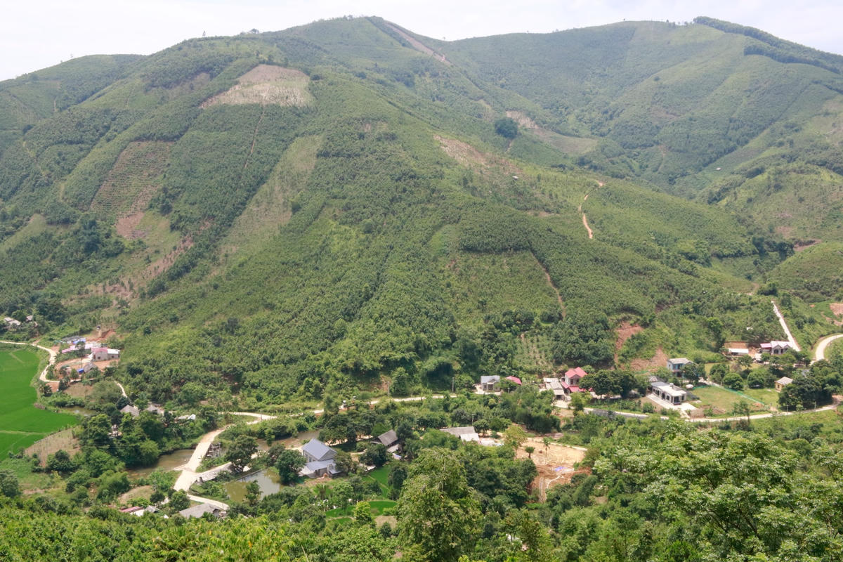 Những cánh rừng xung quanh bản làng - nguồn thu chủ lực của nông lâm nghiệp Văn Yên.