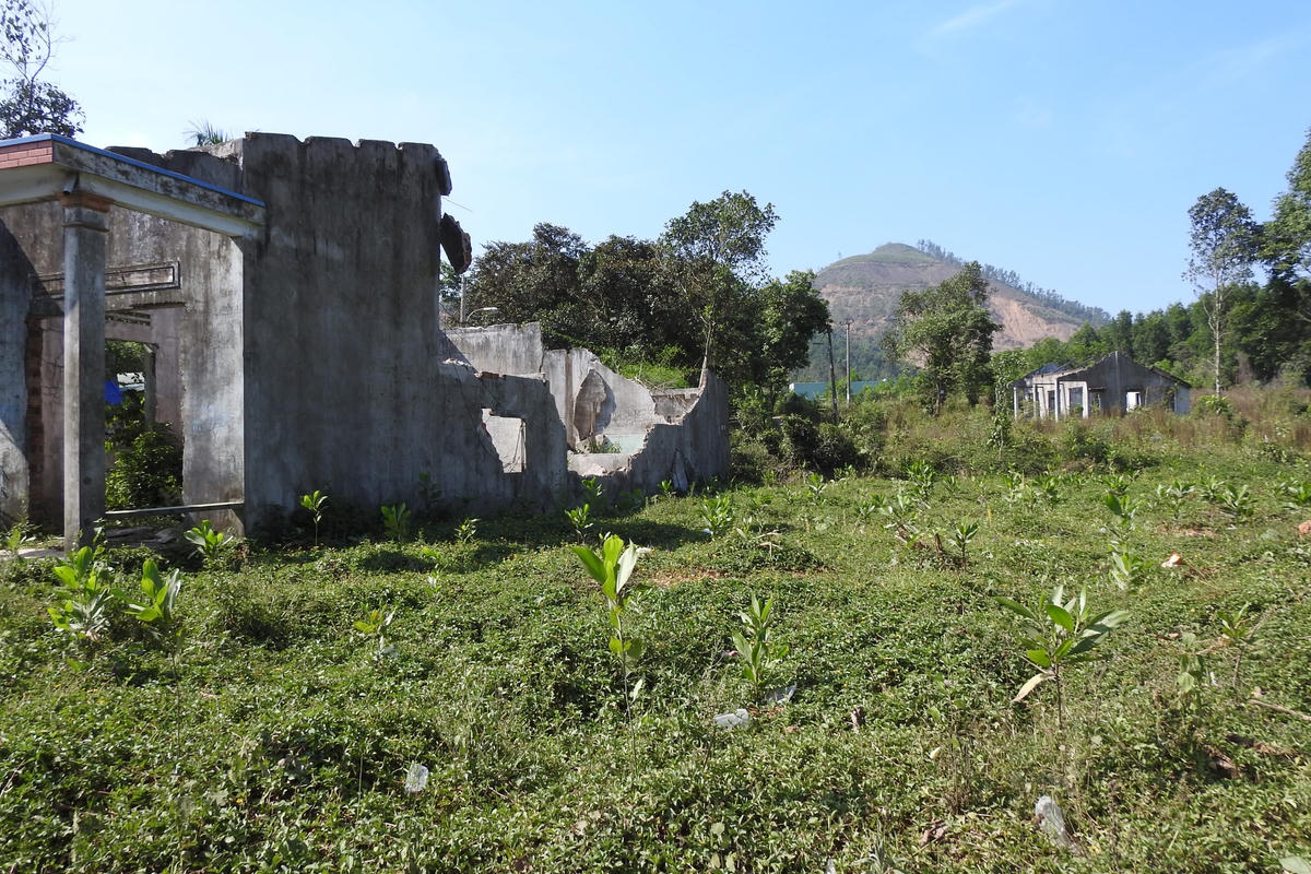 Đất đai ở xã Hòa Ninh, huyện Hòa Vang (Đà Nẵng) vướng quy hoạch khiến người dân không thể yên tâm ổn định đời sống, sản xuất, canh tác. Ảnh Thanh Tùng.