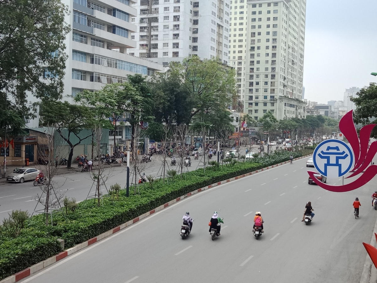 Sở Xây dựng Hà Nội, sẽ đề nghị đơn vị đã tài trợ cho TP hàng cây phong này tự đánh chuyển đi trồng ở nơi khác. Nếu họ không thực hiện được mà có đề xuất thành phố hỗ trợ thì sẽ giao cho Công ty Công viên cây xanh Hà Nội thực hiện.