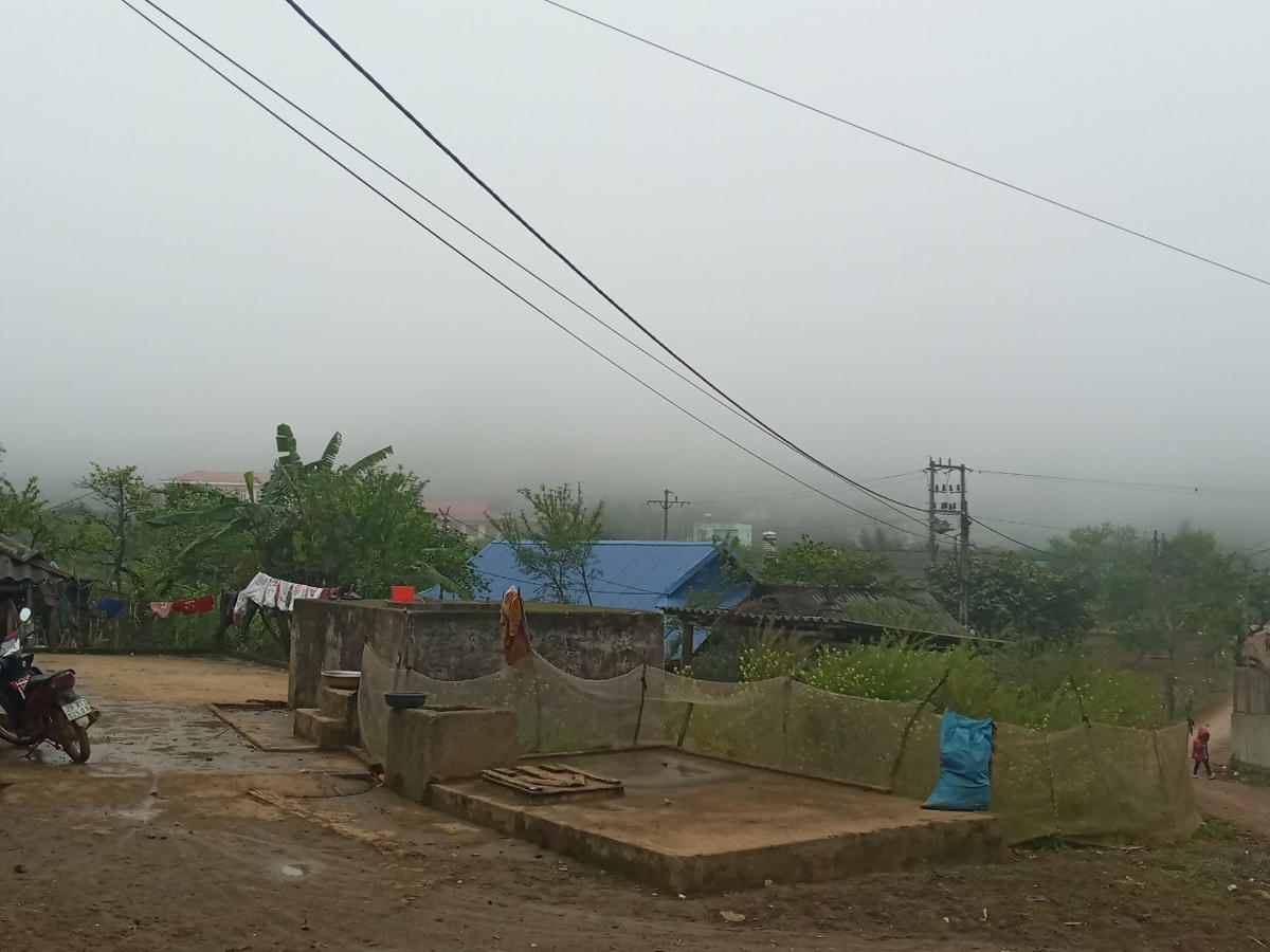 Cuộc sống bình yên đã trở lại.  