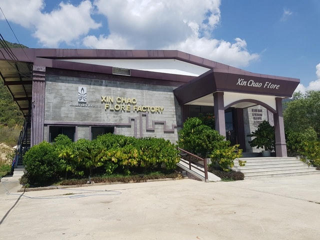 Khánh Hòa quyết tháo dỡ 7 showroom sai phạm chuyên đón khách Trung Quốc