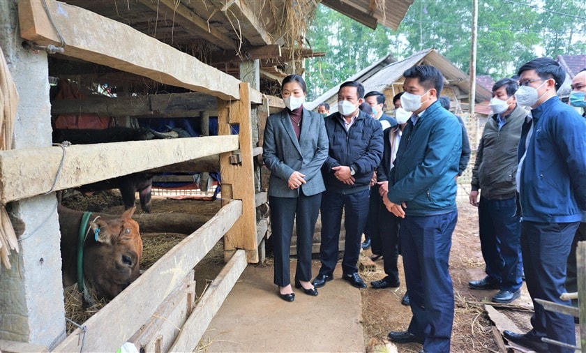 Phó Chủ tịch UBTƯ MTTQ Việt Nam Trương Thị Ngọc Ánh cùng Đoàn công tác kiểm tra mô hình giảm nghèo bền vững tại xã Hòa Hải, huyện Hương Khê (tỉnh Hà Tĩnh).