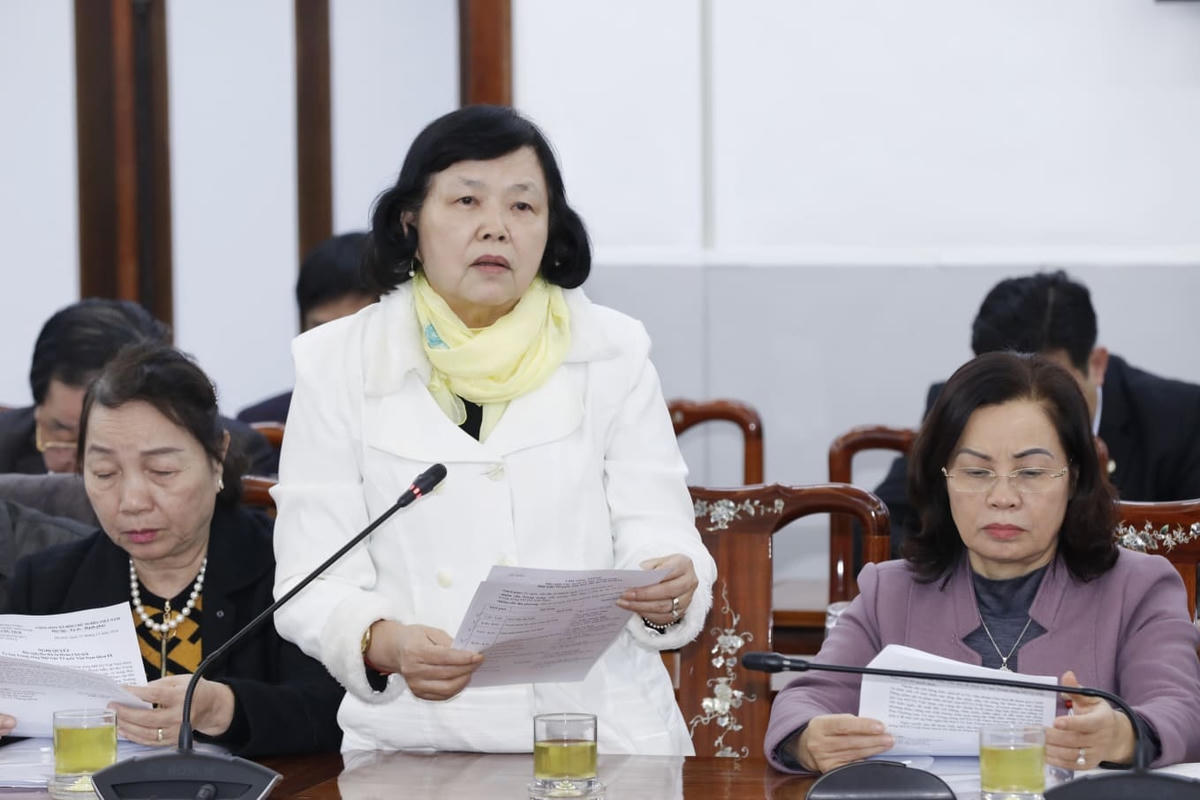 Bà Đặng Huỳnh Mai, Chủ tịch Liên hiệp Hội về Người khuyết tật Việt Nam phát biểu tại Hội nghị. Ảnh: Quang Vinh.
