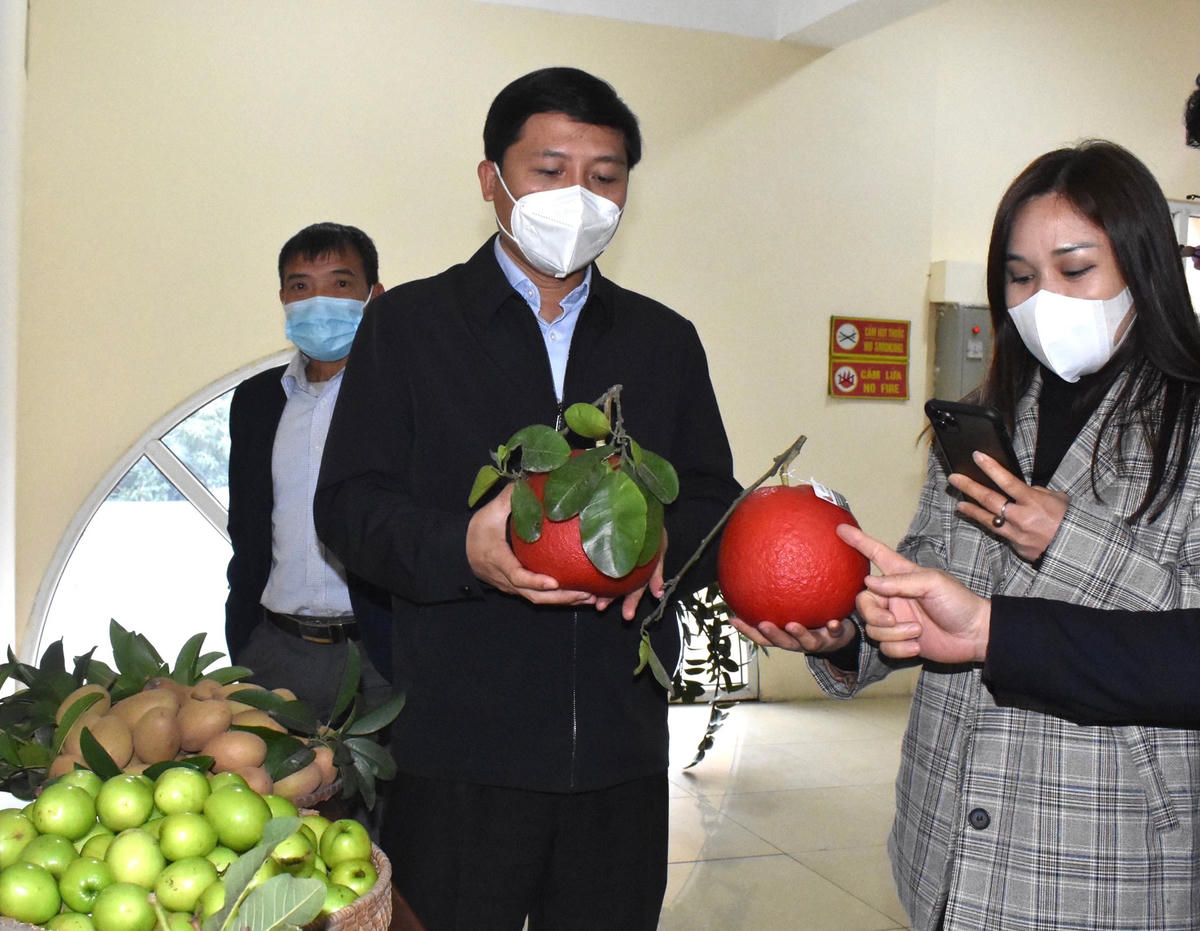 Bí thư Huyện ủy Mê Linh Nguyễn Thanh Liêm trực tiếp giới thiệu sản phẩm bưởi đỏ - đặc sản của xã Tráng Việt.