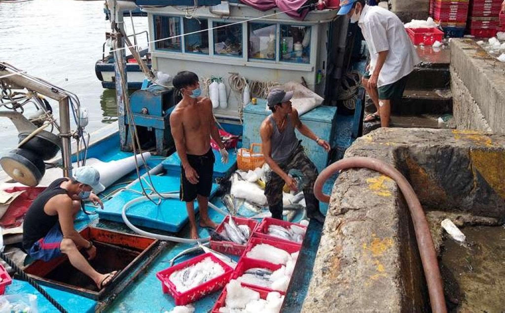 Những chuyến tàu đánh bắt xa bờ chở nhiều tấn cá cặp Cảng Hòn Rớ .