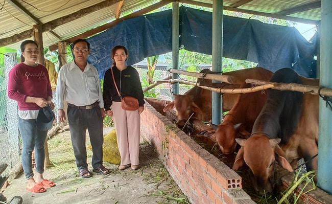 Thăm mô hình nuôi bò sinh sản tại xã Đa Lộc, huyện Đông Xuân (Phú Yên).