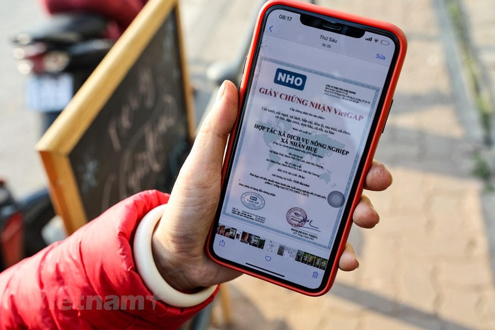 Chị Thuỷ cũng cho biết toàn bộ nông sản đều có nguồn gốc xuất xứ rõ ràng. Rau đã được kiểm dịch và đưa về Hà Nội. (Ảnh: Minh Sơn/Vietnam+).