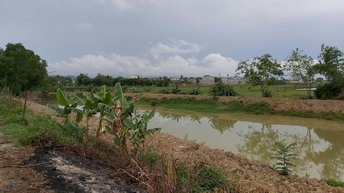 Để tranh thủ quỹ đất, ngoài việc trồng lúa 1 vụ, một số hộ dân tiến hành đào ao thả cá, chăn nuôi vịt.