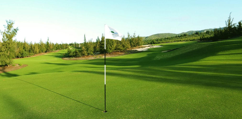 Đình chỉ công tác Giám đốc Sở và Cục phó Cục Thuế tỉnh Bình Định chơi golf giữa mùa dịch