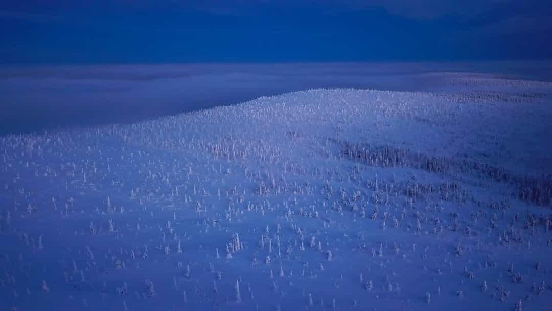 Công viên quốc gia Posio - Riisitunturi ở Posio, miền nam Lapland, nổi tiếng vào mùa đông với cảnh quan thiên nhiên kỳ lạ của những cây phủ đầy tuyết trắng.