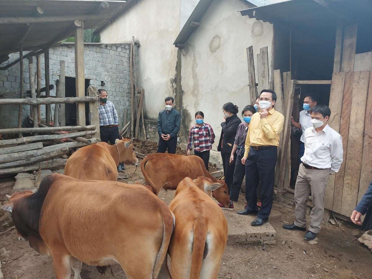 Phó Chủ tịch Trương Thị Ngọc Ánh đánh giá cao sự đồng thuận, hưởng ứng, trách nhiệm khi tiếp nhận sự hỗ trợ của dự án của hộ dân.