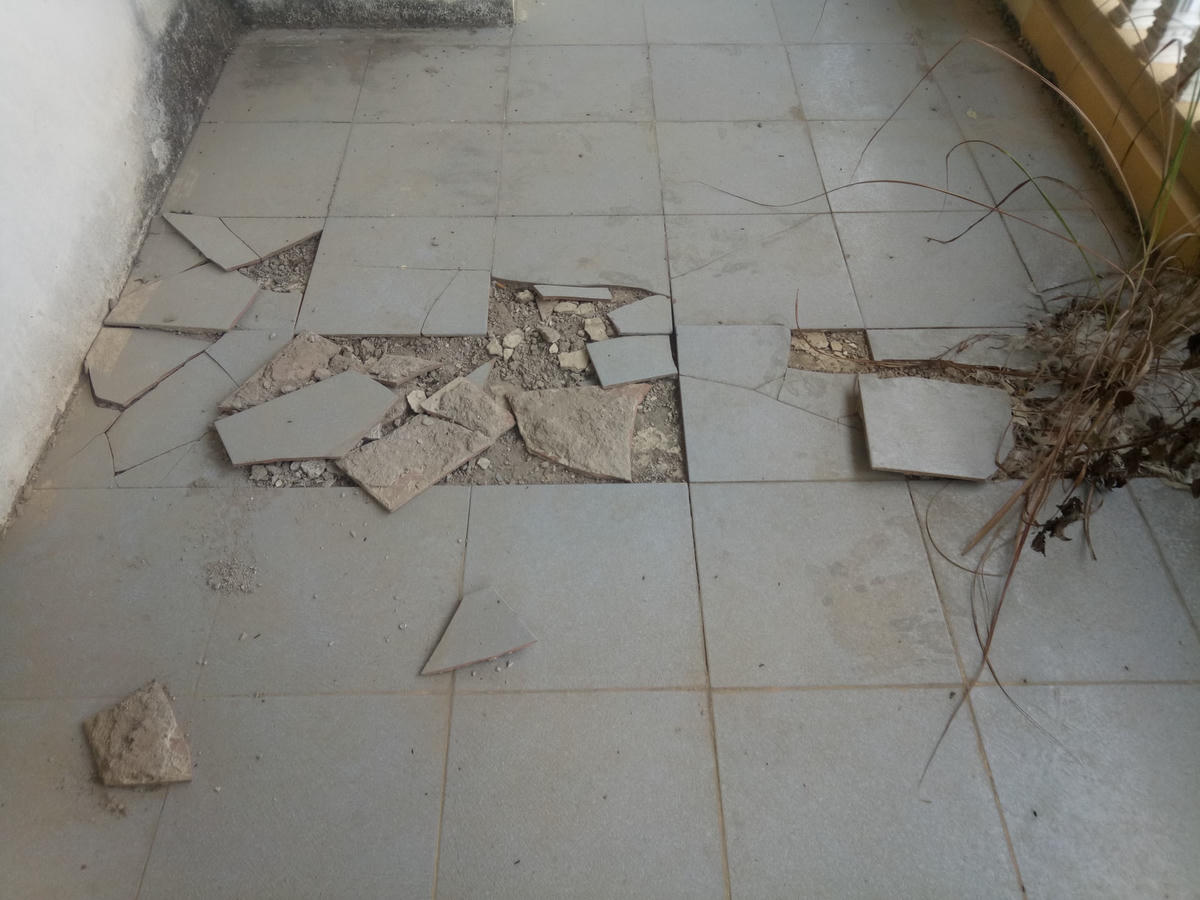 Vì không ai trông coi, duy tu bảo dưỡng nên công trình hiện đã xuống cấp trầm trọng.